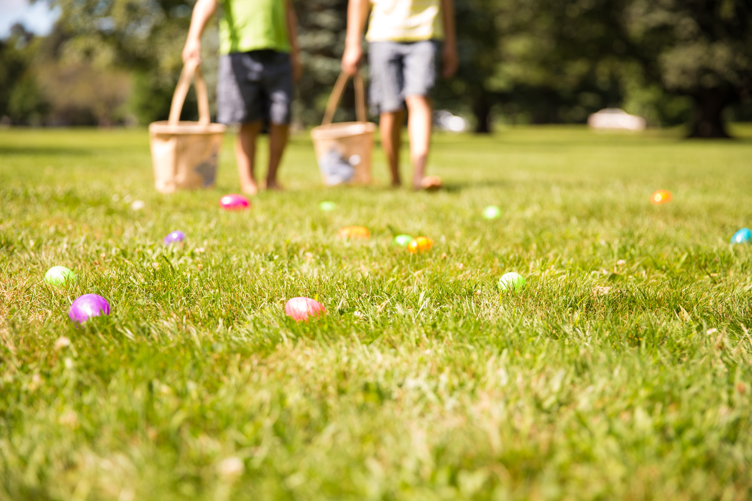 How To Organise An Easter Egg Hunt