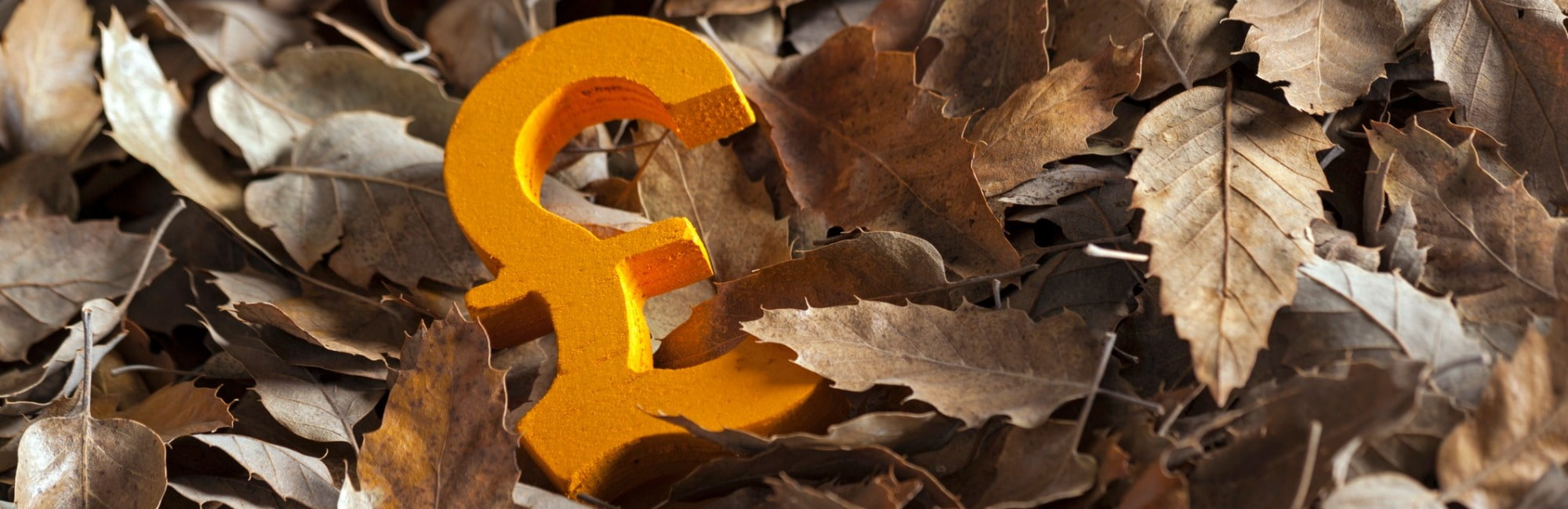 Autumn leaves £ 