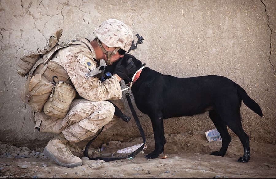 Soldier And Black Dog Cuddling 34504