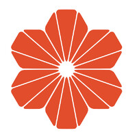 Solivus logo