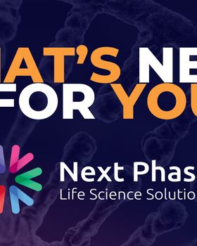 Next Phase- What's new for you?