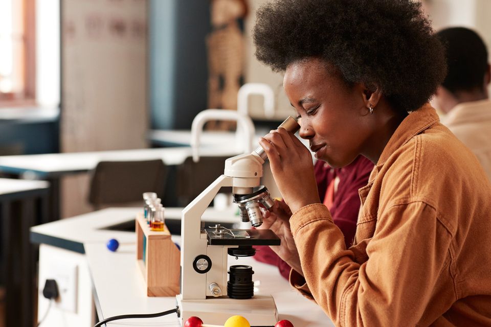 Technology and services reached €3.13bn, while industrial and life-sciences exports totalled €2.48bn. Photo: Stock image/Getty