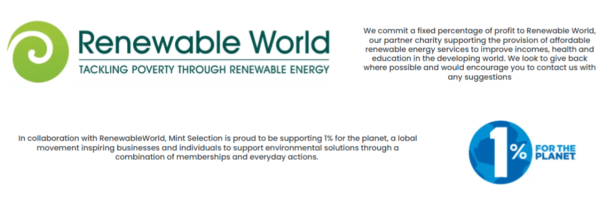 Renewable World logo and snippet describing the work they do in Renewable Energy