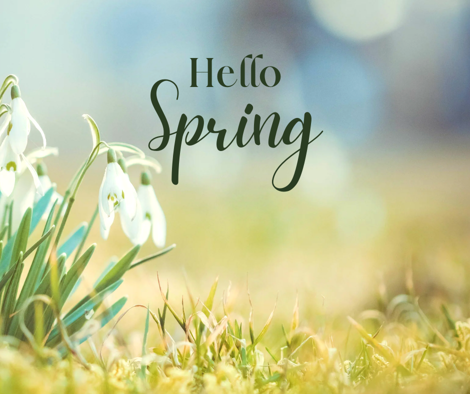Spring Goals for Nurses: Career · Nursing and Caring Direct
