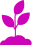 Growing seed icon