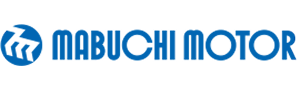 Mabuchi motor