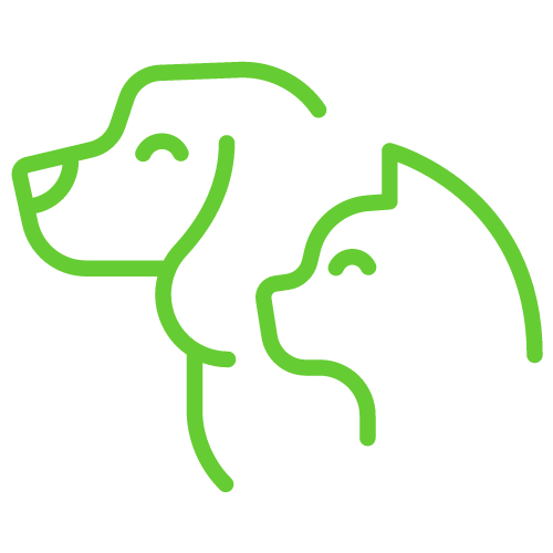 Small Animal  Vets