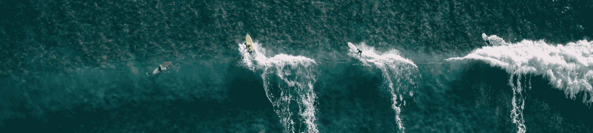 2000 X 450 Px (9)