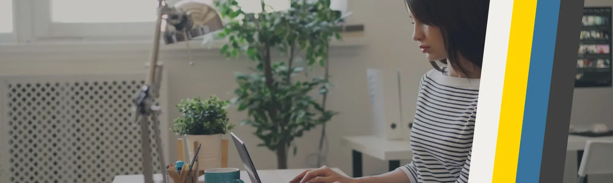 Banner Default Image