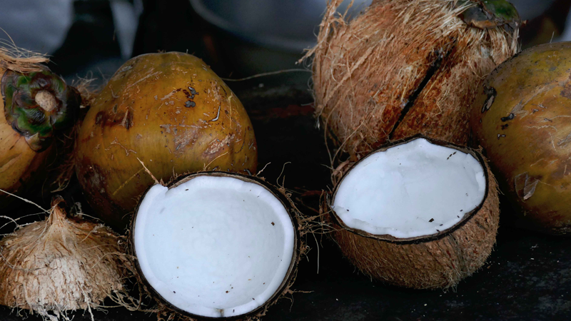 Consulting Coconut Shells And Waiting In Line Marc Lesner On His Investigo Journey From London To New York