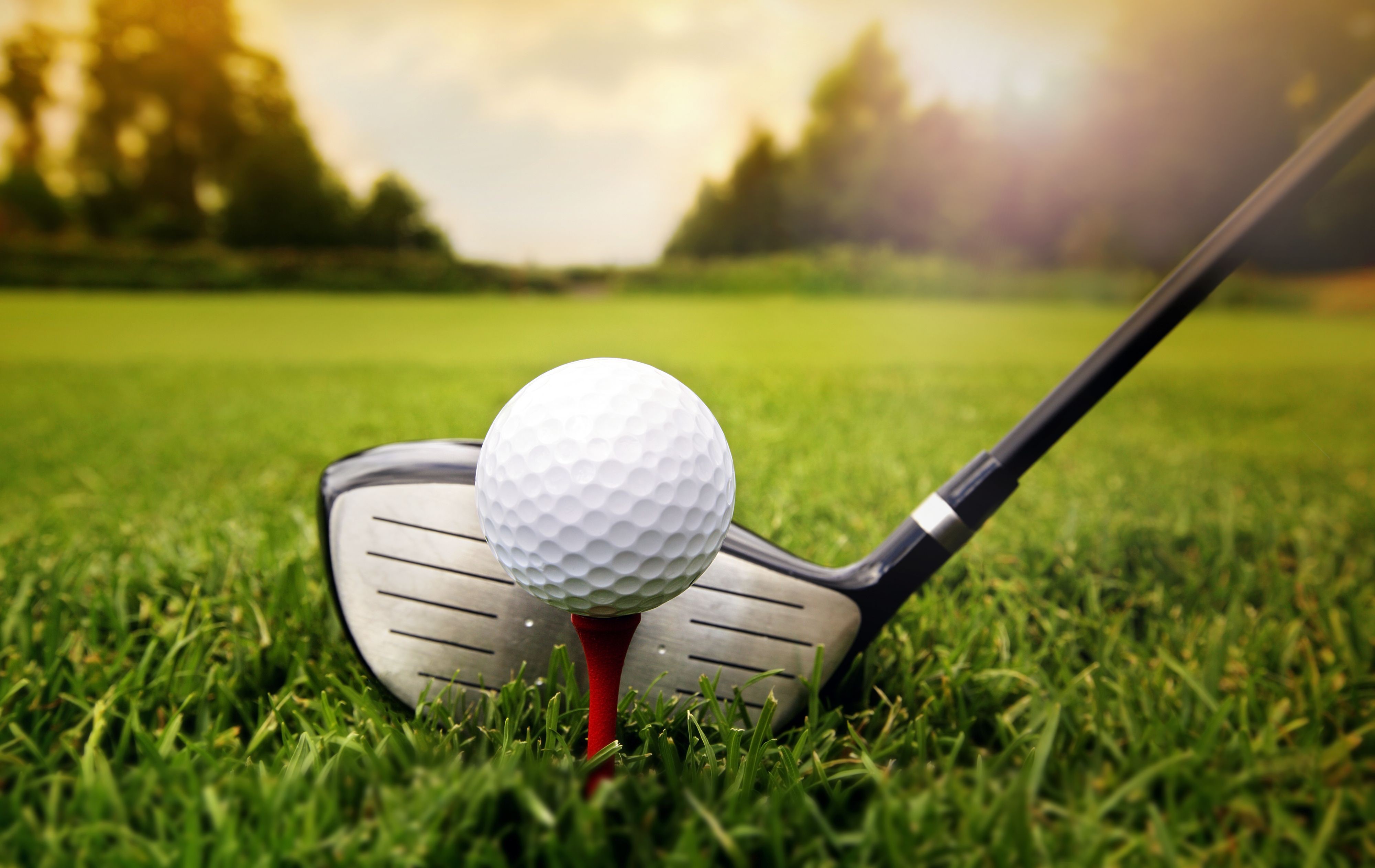 Salisbury Business Charity Golf Day