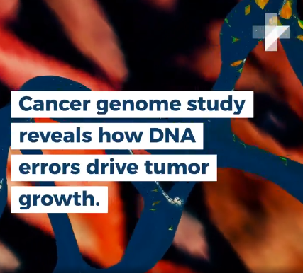 Genome study reveals new information about tumours