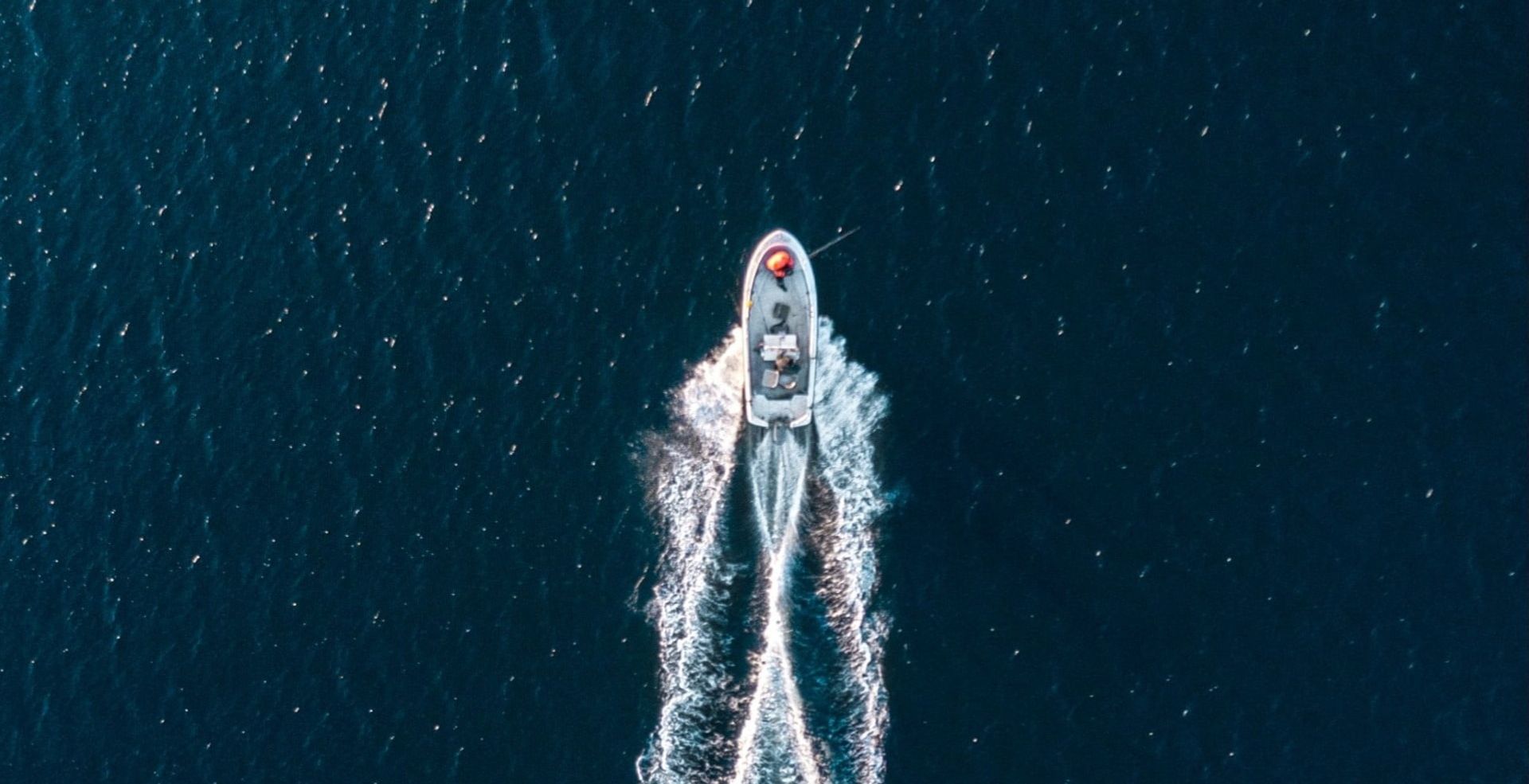 bird's view of a boat in the ocean
