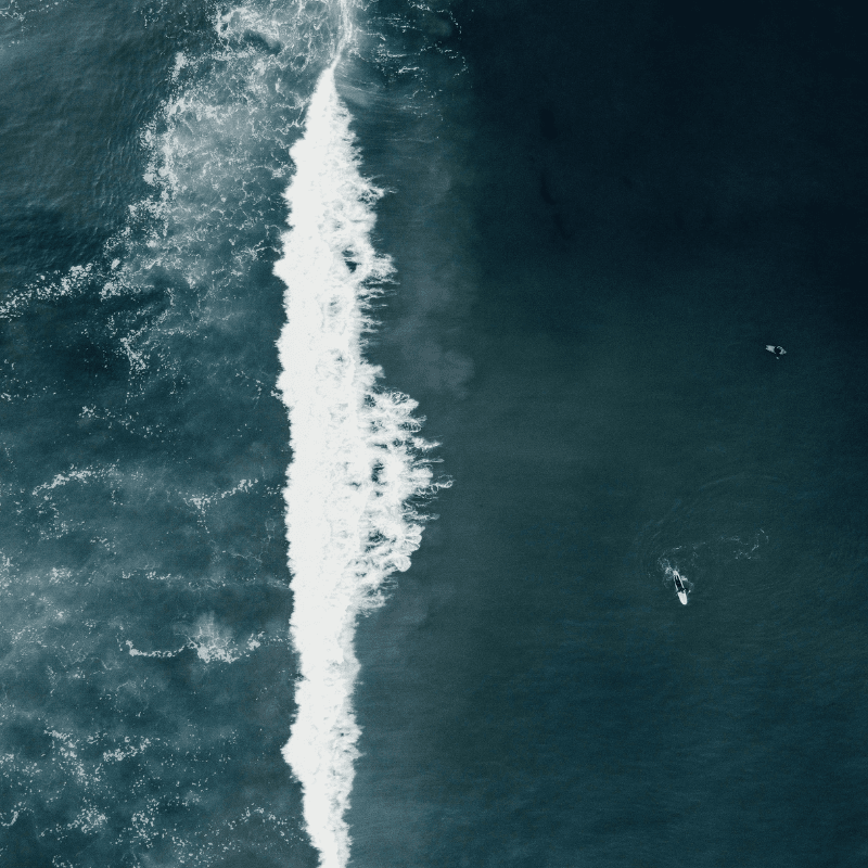 Image 2025 05 22 T11 49 45