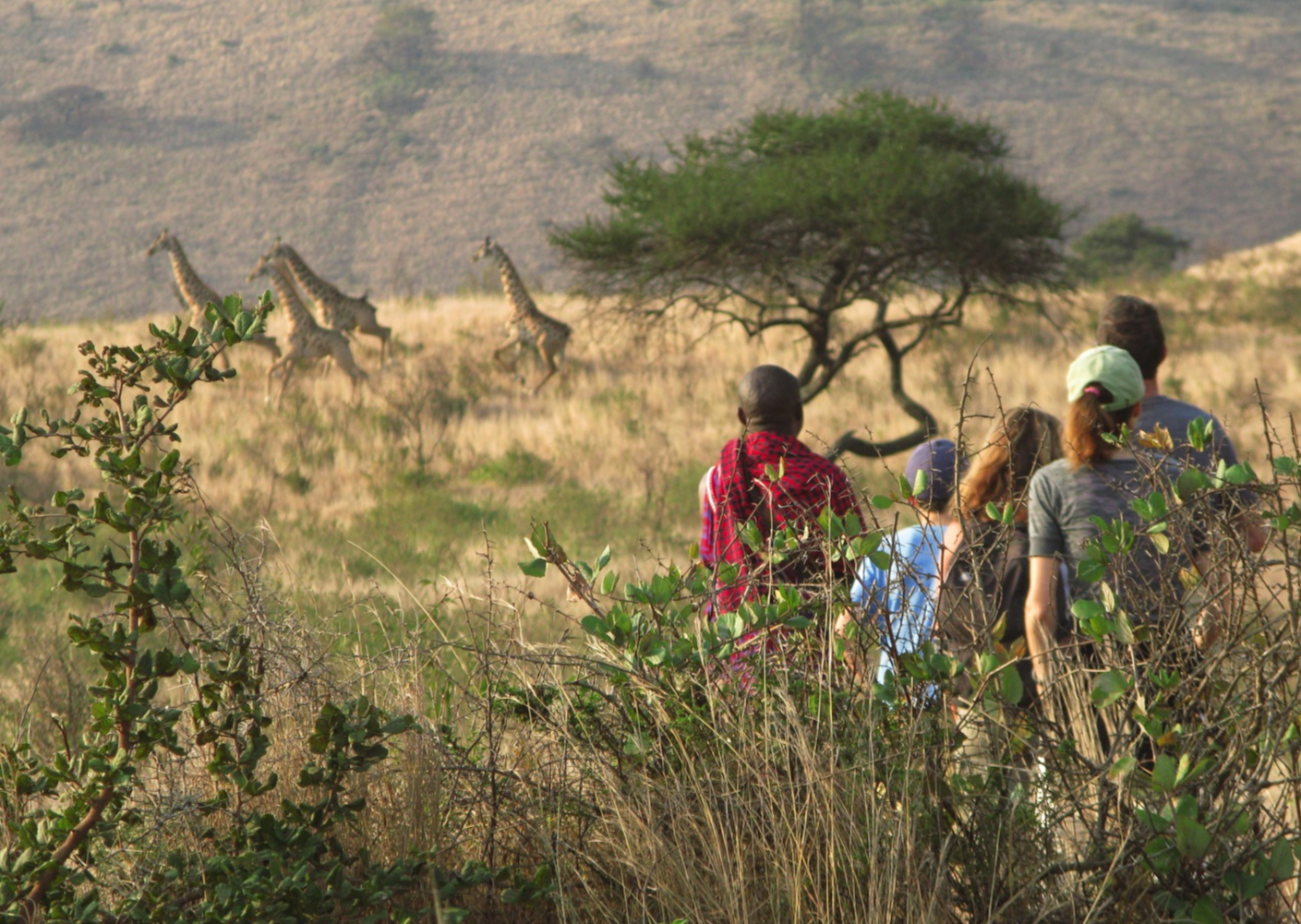 Campi Ya Kanzi Kenya Arusi Walk