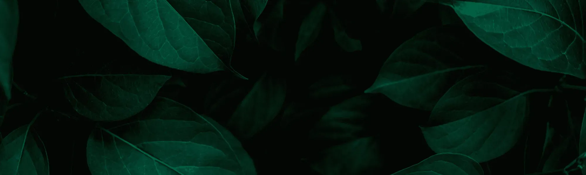 Image 2025 12 01 T07 56 21