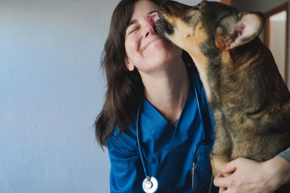 Referral/Specialist/Certificate Holder Veterinary Surgeon