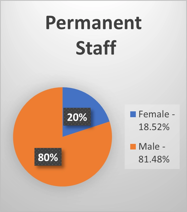 Permanent Staff breakdown graphic
