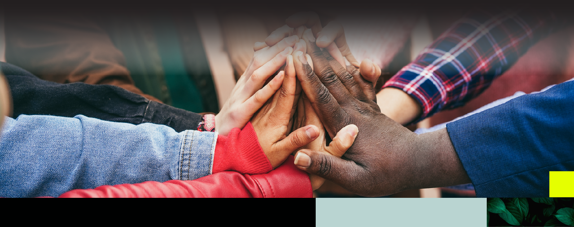 Fostering inclusivity: our commitment to diversity, equity and · Auxo