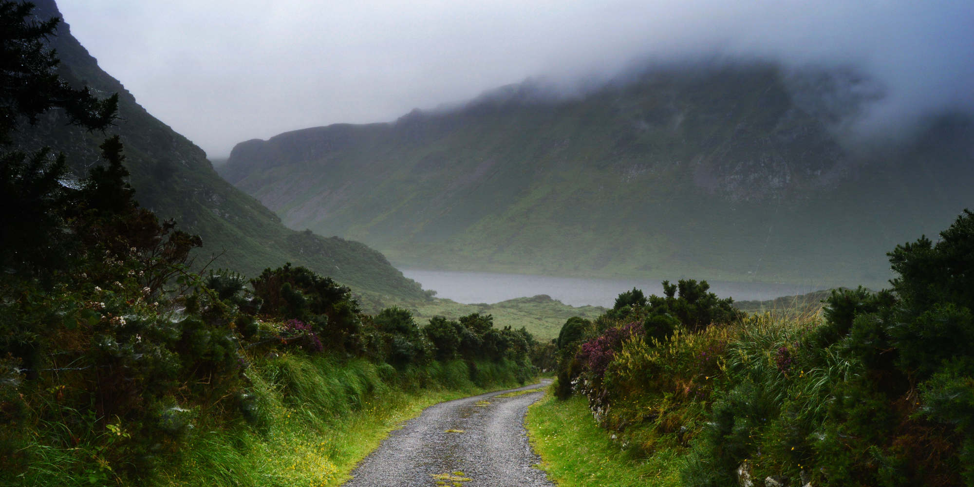 The mist rolls in over the Dingle Peninsula