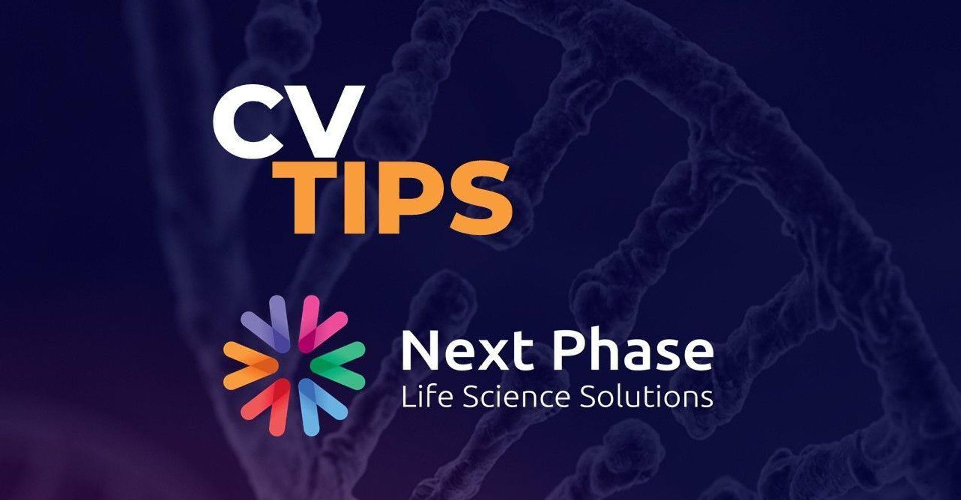 CV Tips by Next Phase Recruitment. 