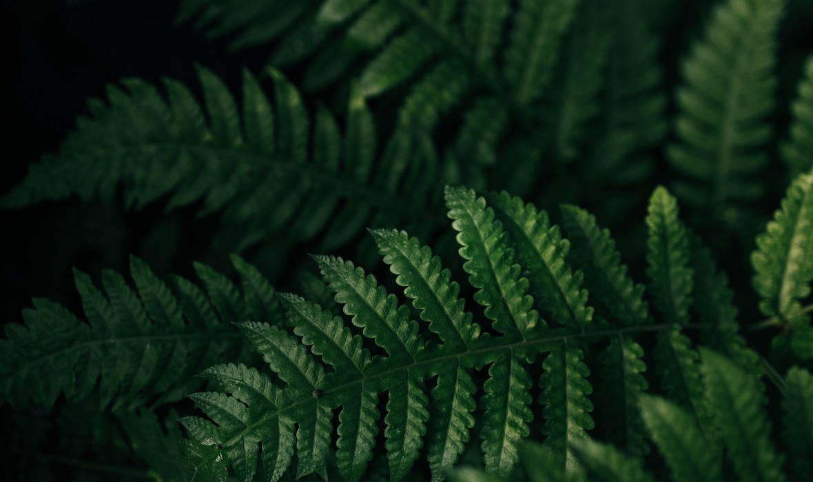 Image 2025 11 04 T06 20 54