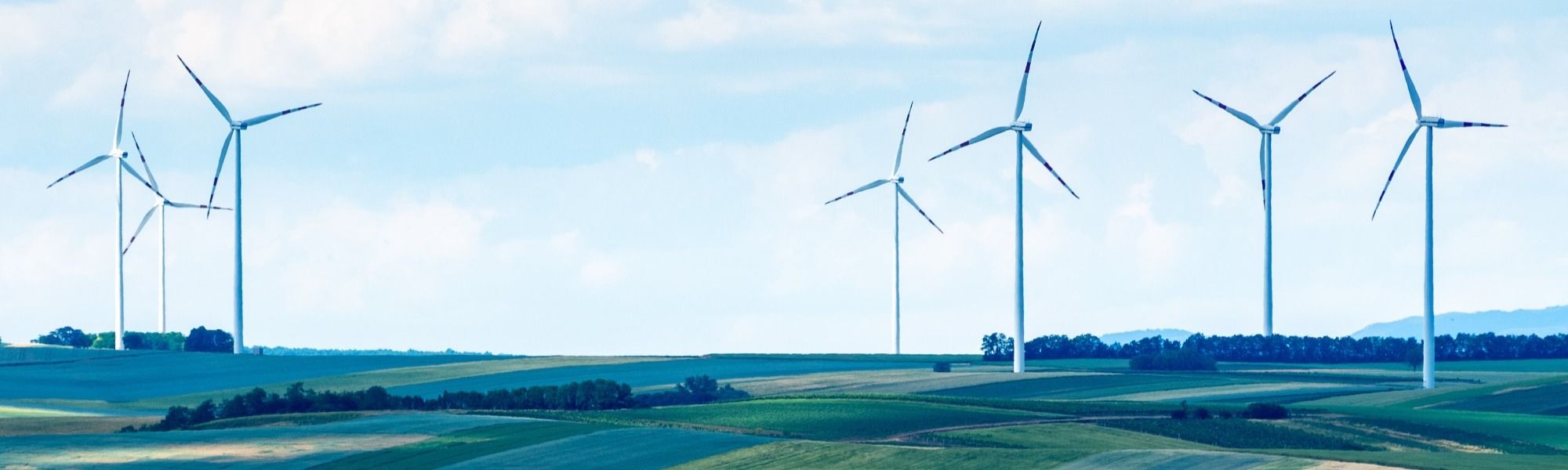 Picture of wind turbines in a field