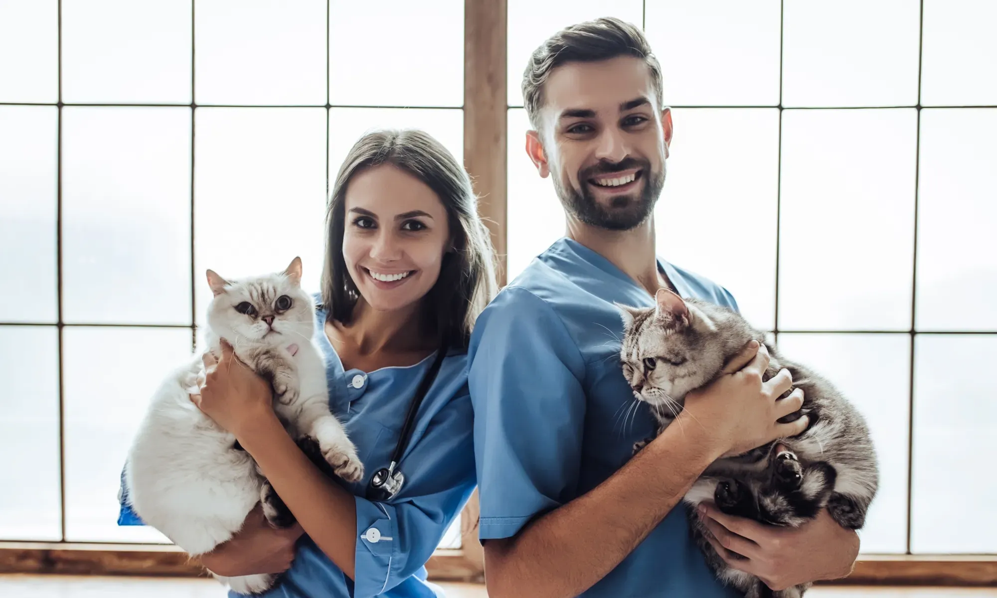 Veterinary Surgeon Jobs
