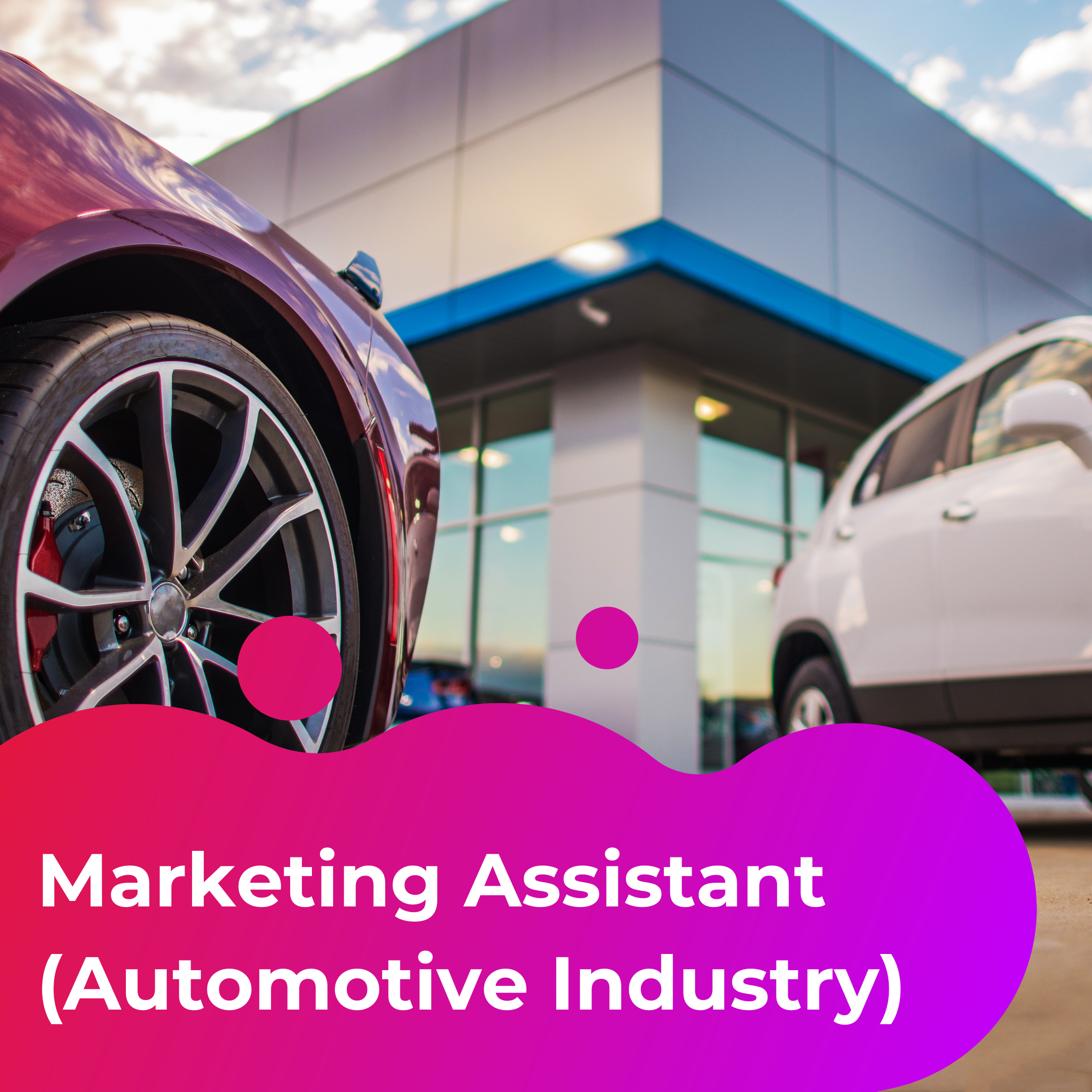 Marketing Assistant (Automotive Industry) Case Study. Image shows the front of a car dealiership building outside, accompanied by a white car and a red car.