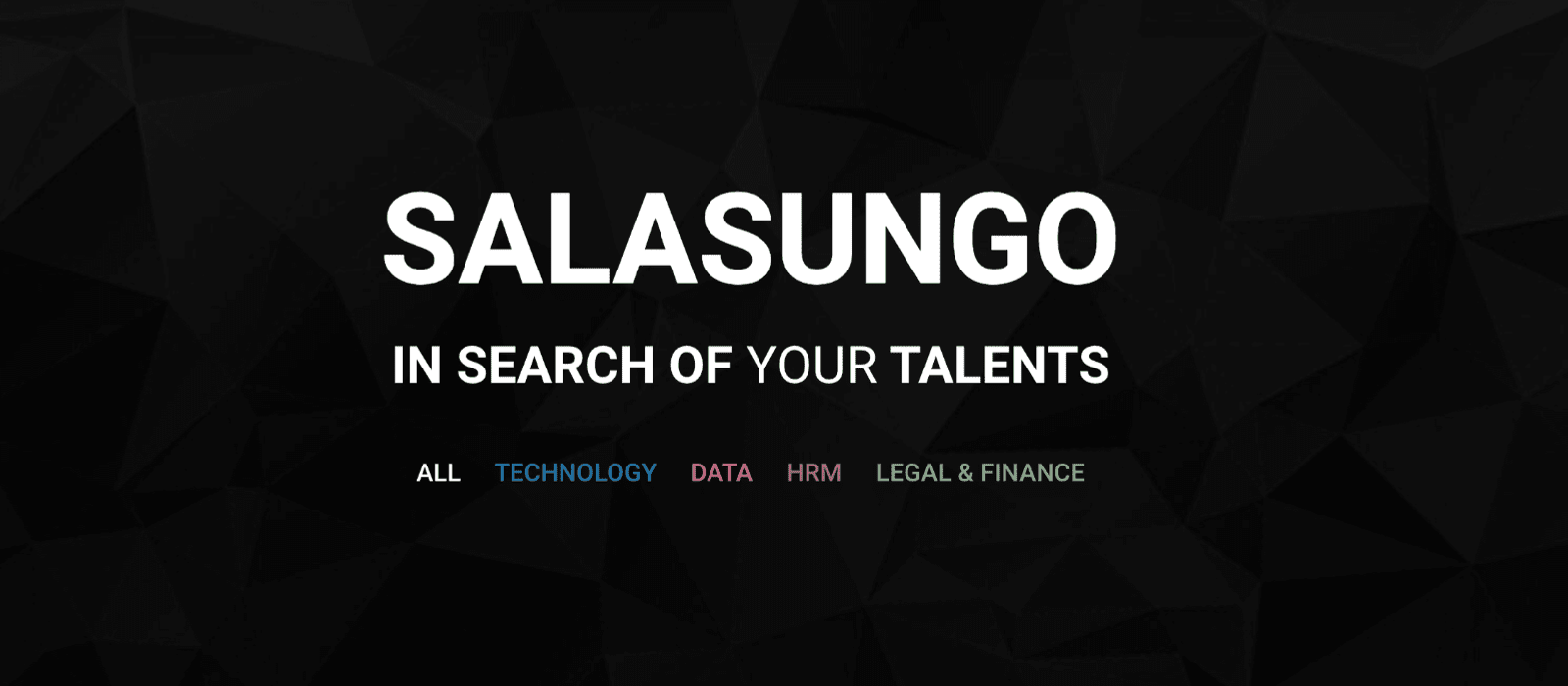 Salasungo Recruitment Website by Volcanic