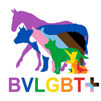 BVLGBT+ logo
