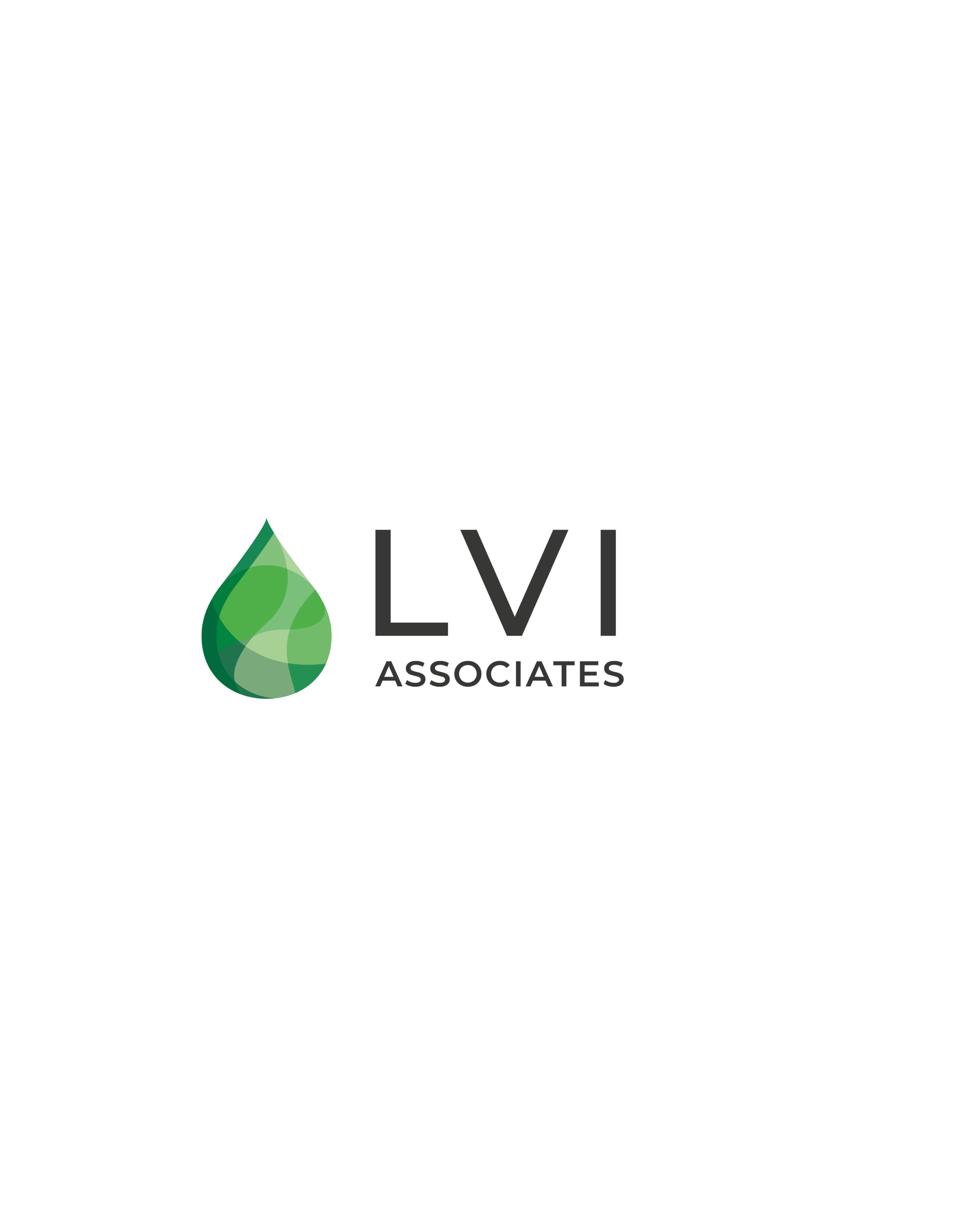 LVI Associates Rebrand