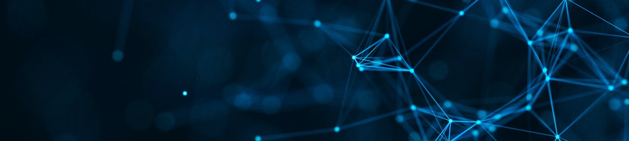 Image 2025 07 31 T11 02 42