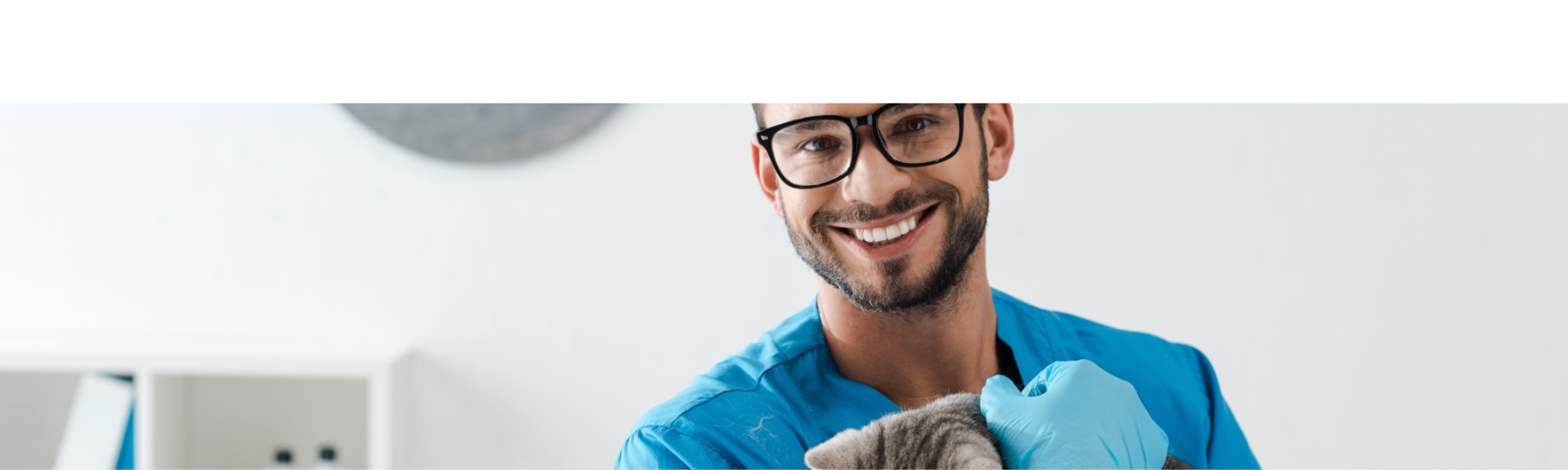The Changing Face of Veterinary Recruitment in the UK 