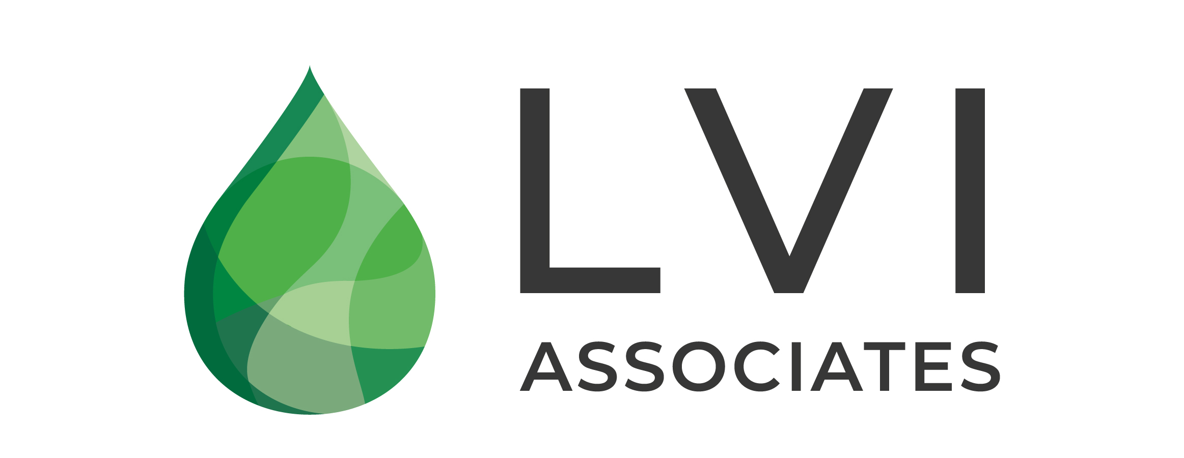 LVI Associates