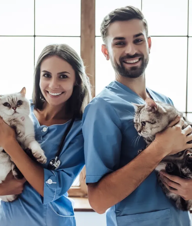 Veterinary Jobs