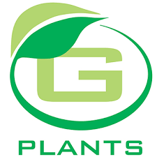 G Plants