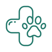 Image 2025 09 18 T16 30 47