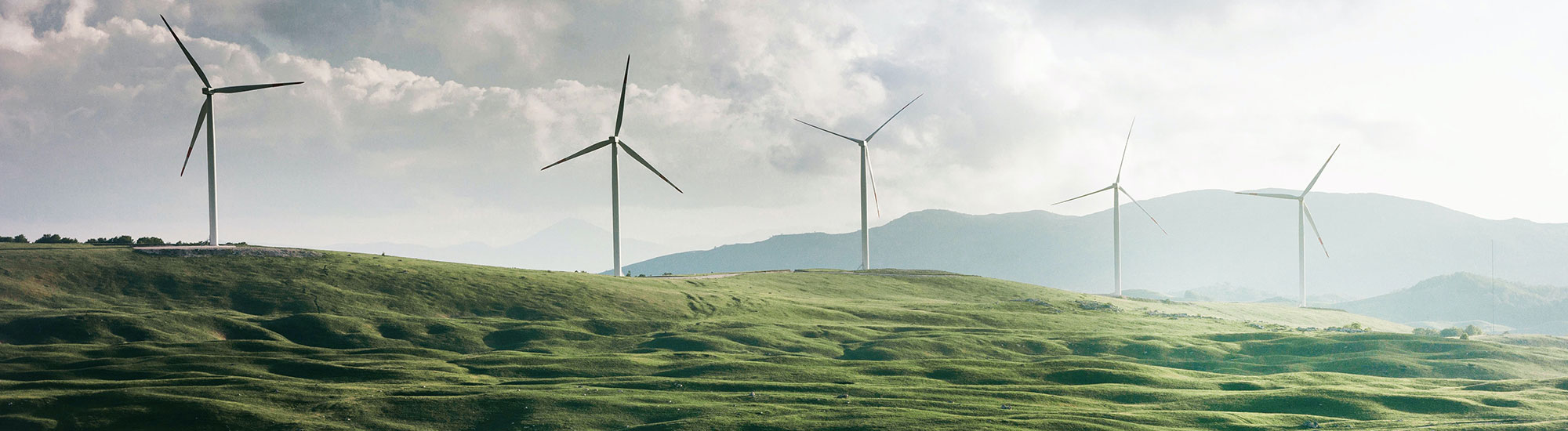 Renewable Energy Careers