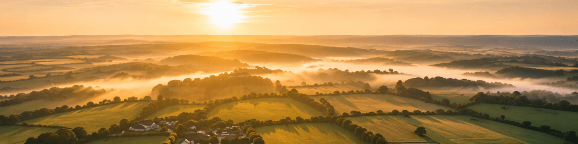 An image of rural green farm fields in the UK in sunlight