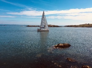 Image 2025 11 26 T15 08 44