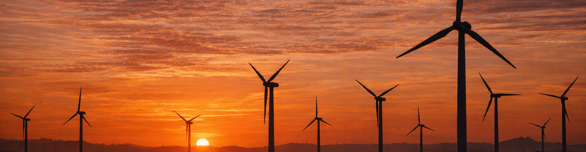 Renewable Energy