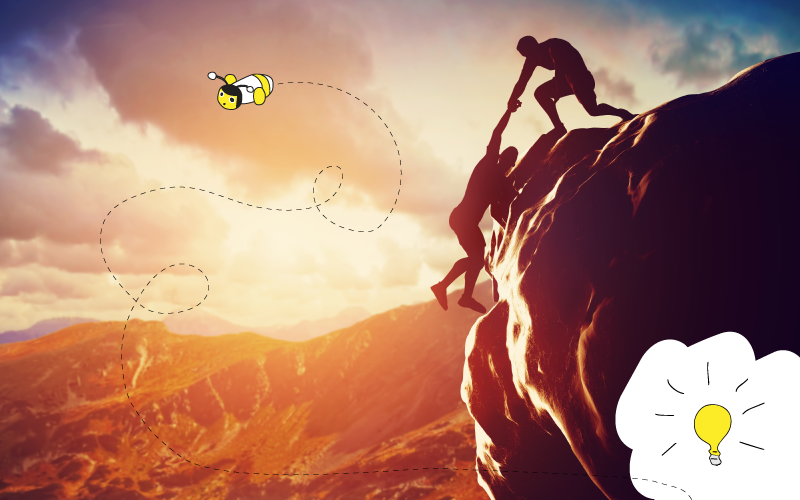 High Performing Companies And More