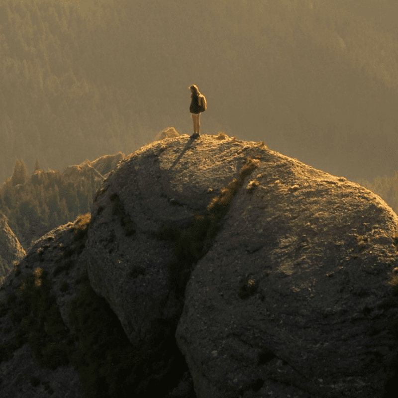 Banner Default Image