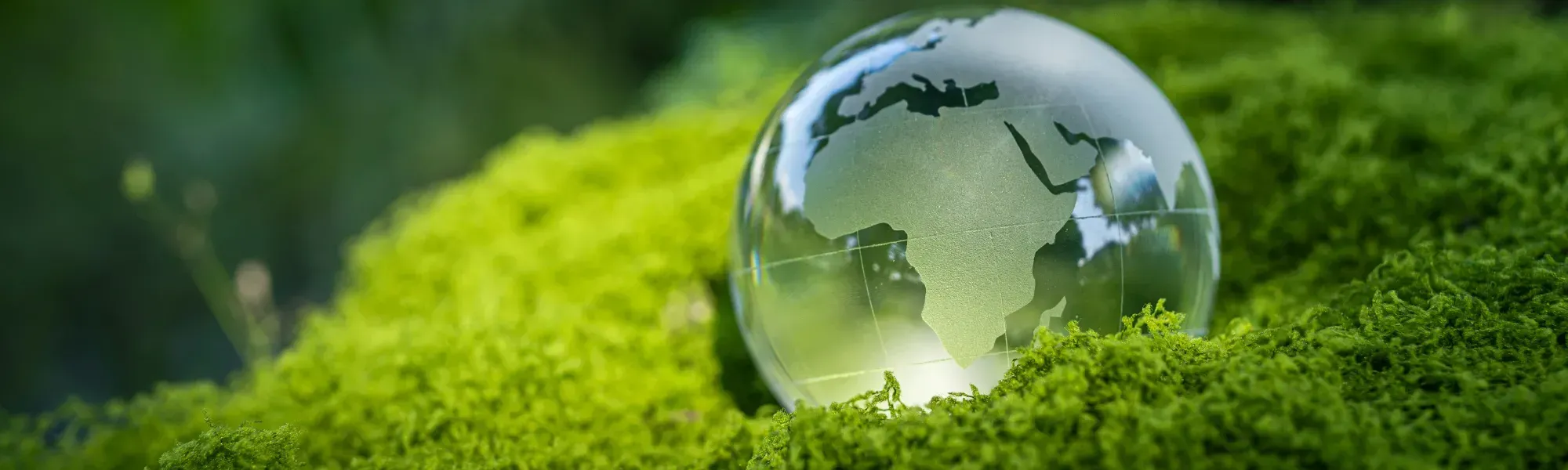 Maritime Permanent Recruitment Case Study: Sustainability & Public Affairs Manager  - Maritime Recruitment - Faststream Recruitment