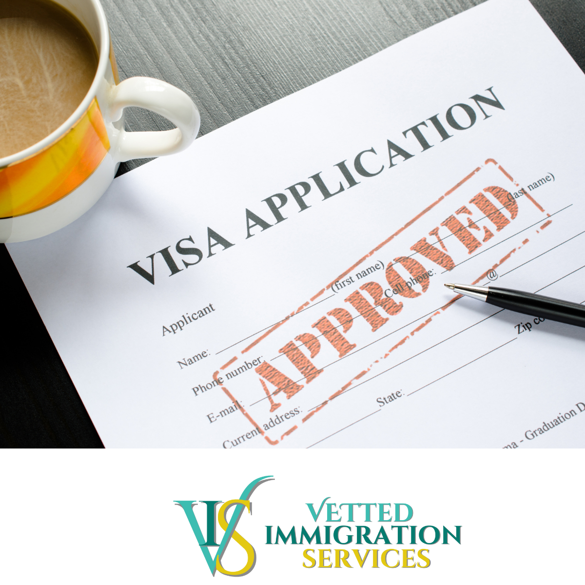 Visa Application