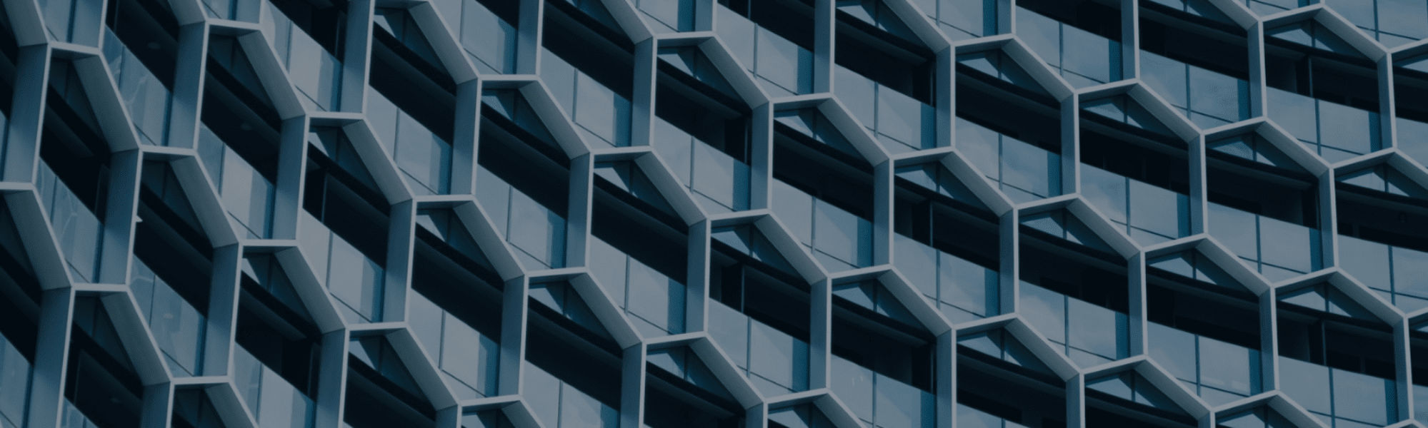 Customer Success Recruitment Agency