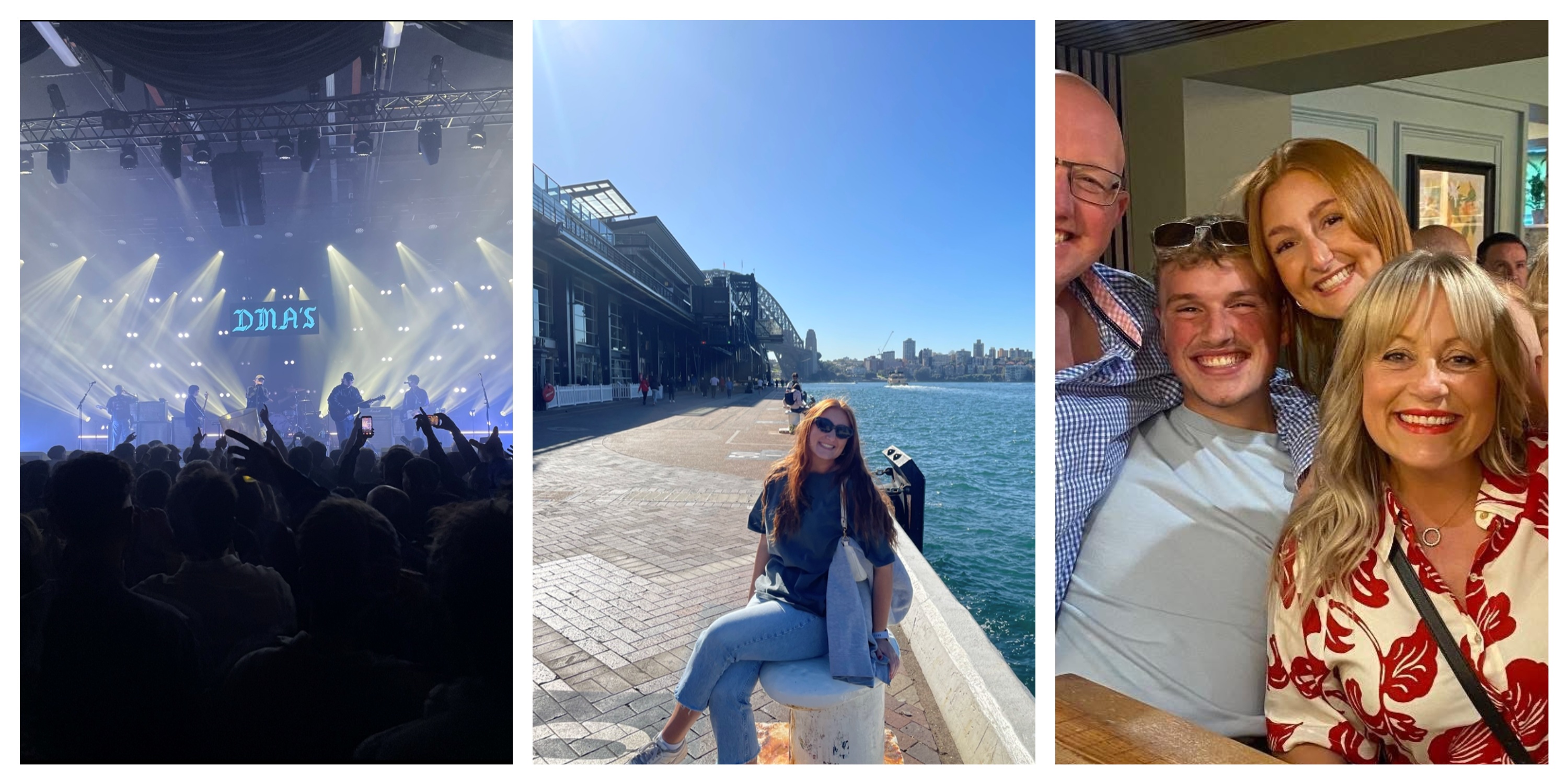 A collage of concert photos featuring diverse individuals enjoying live music and celebrating together.