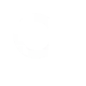 Executive search icon