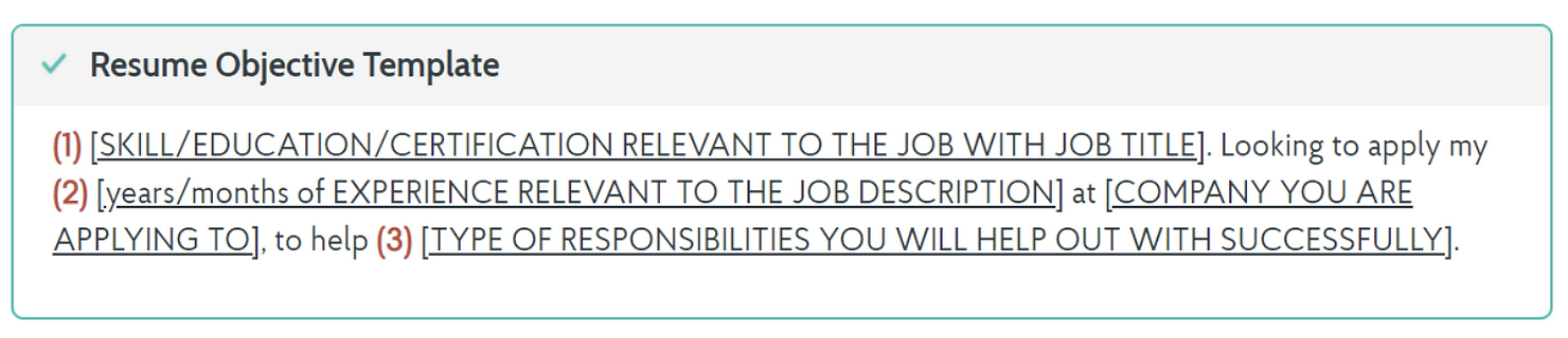 Resume Objective Template